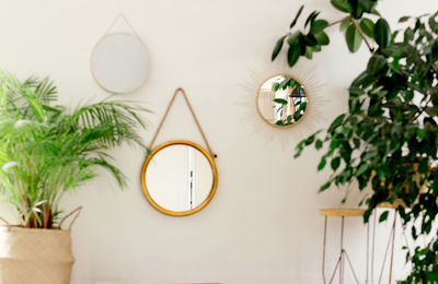 Round mirror and plants at home. idea for interior design