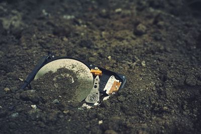 Broken hard drives on the soil ground without cover showing inside part. an illustration concept