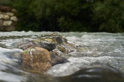 Close-up of water flowing through rocks