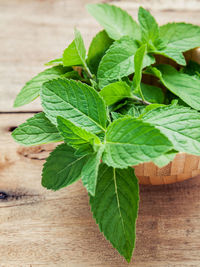 Close-up of mint leaves on table