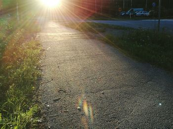 Sun shining through trees