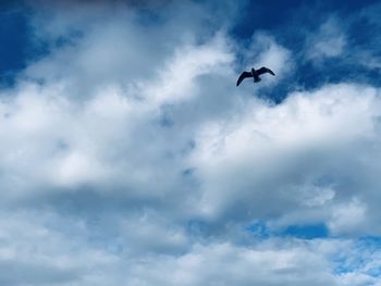 Low angle view of silhouette bird flying against sky