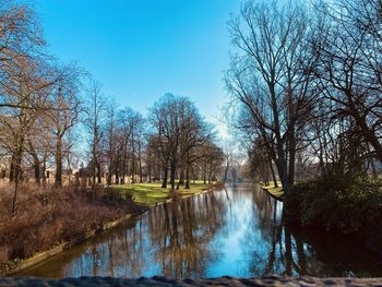 Scenic view of lake in forest against sky