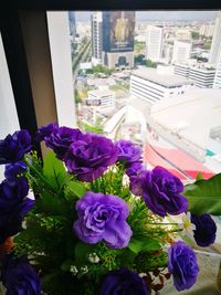 Close-up of purple roses