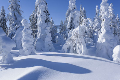 Snow covered field against sky