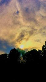 Silhouette of trees against cloudy sky