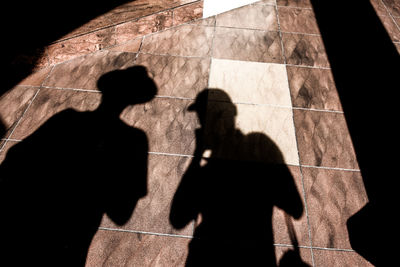 Shadow of man on zebra crossing