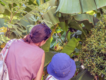 Mom and son are looking at a banana tree in the street.