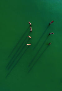 High angle view of wooden posts in sea