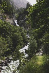 Scenic view of waterfall in forest