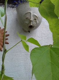 Close-up of sculpture and leaves against wall