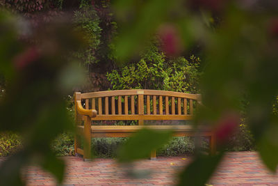 Wooden bench in the city park. bench on the natural background of the oliva park in gdansk, poland