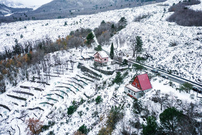 High angle view of snow covered trees and buildings