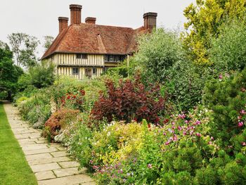 Trees and plants growing in garden