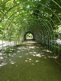 Footpath leading to tunnel