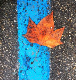 Close-up of yellow paint on road