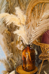 Close-up of christmas decoration