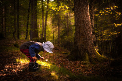 Rear view of man walking in forest