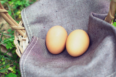 High angle view of eggs in container