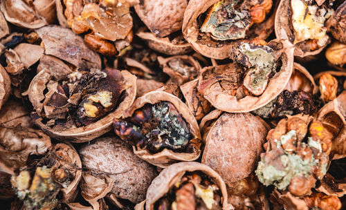 Full frame shot of dried food