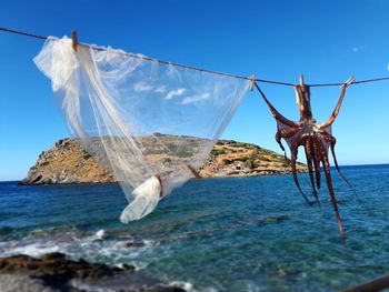 Close-up of clothes drying on beach against blue sky