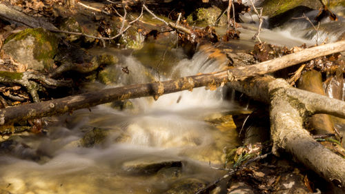 Close-up of waterfall in forest