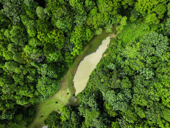 Aerial view of nature abstract with winding road and pond