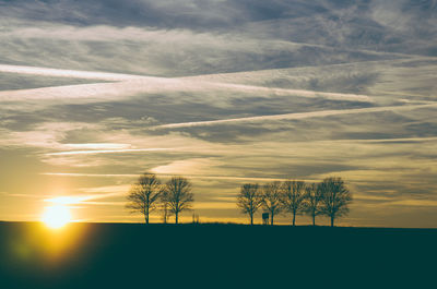 Silhouette trees on landscape against sky at sunset