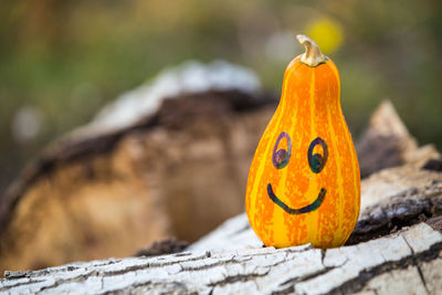 Close-up of pumpkin on wood during halloween