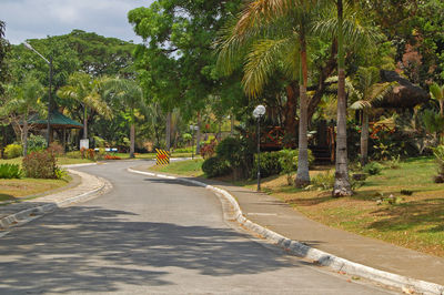 Road amidst trees and plants in city