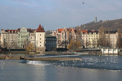 Buildings by river against sky in city with a flock of birds flying over the water.