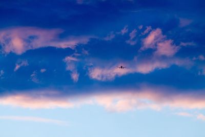 Low angle view of birds flying in sky