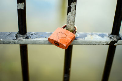 Close-up of padlock on metal gate