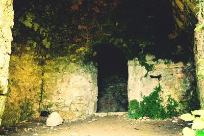 Entrance of old building