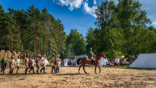 Group of horses on the tree