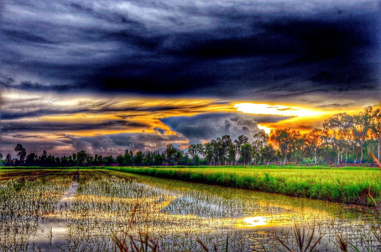 sky, cloud - sky, tranquil scene, sunset, scenics, beauty in nature, tranquility, cloudy, water, weather, nature, tree, landscape, field, dramatic sky, overcast, idyllic, reflection, cloud, rural scene