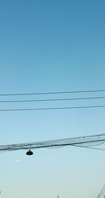 Low angle view of birds against clear blue sky