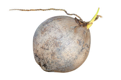 Close-up of apple against white background