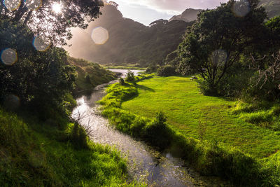 Scenic view of landscape