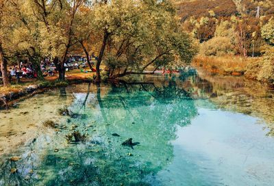 Scenic view of river in park during autumn