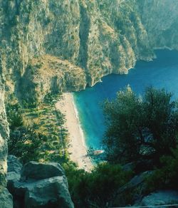 High angle view of trees by sea