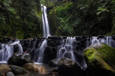 Scenic view of waterfall in forest