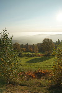 Scenic view of landscape against sky