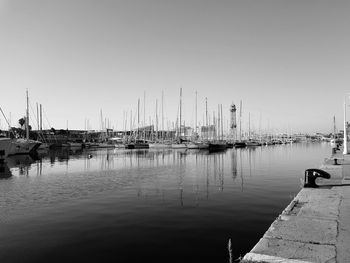 Sailboats in marina