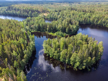 High angle view of lake amidst trees