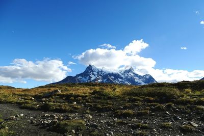 Scenic view of grassy field and snowcapped mountains against sky