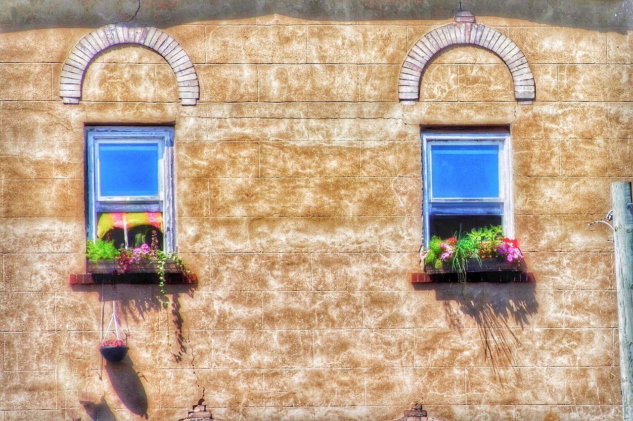 POTTED PLANTS ON WINDOW OF HOUSE