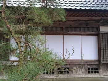 Bird on roof against sky