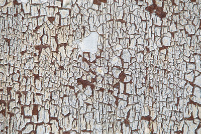 Full frame shot of weathered wall