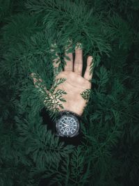 hand